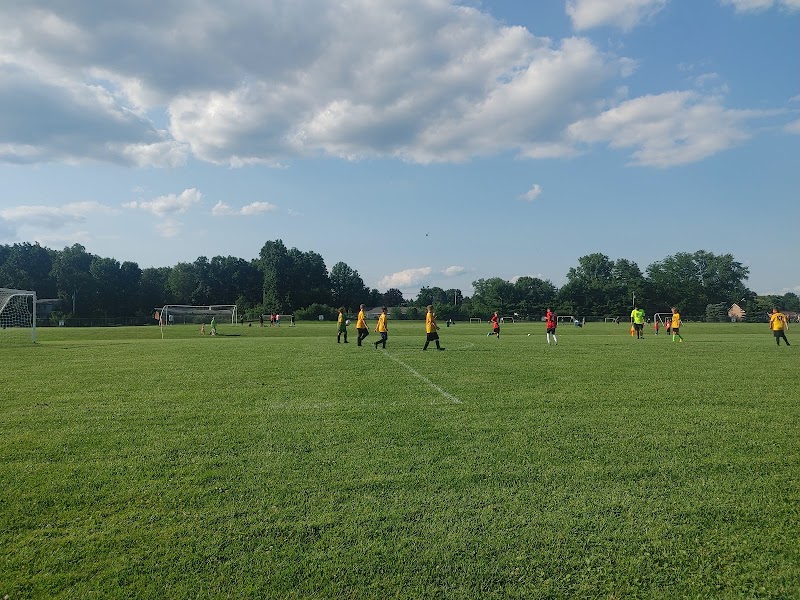 Franks Park - Pickleball in Sturgis, Michigan