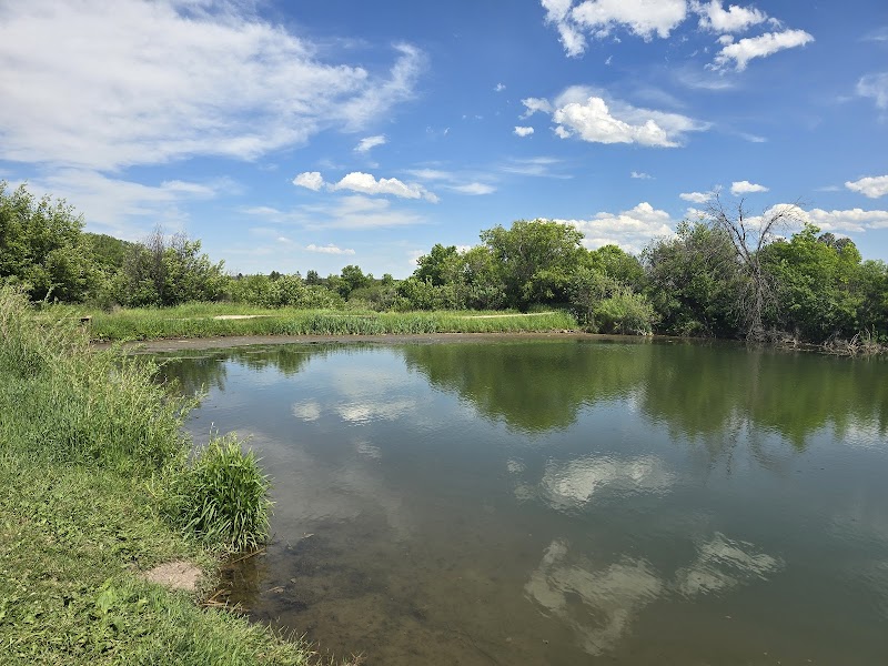 Frog Pond