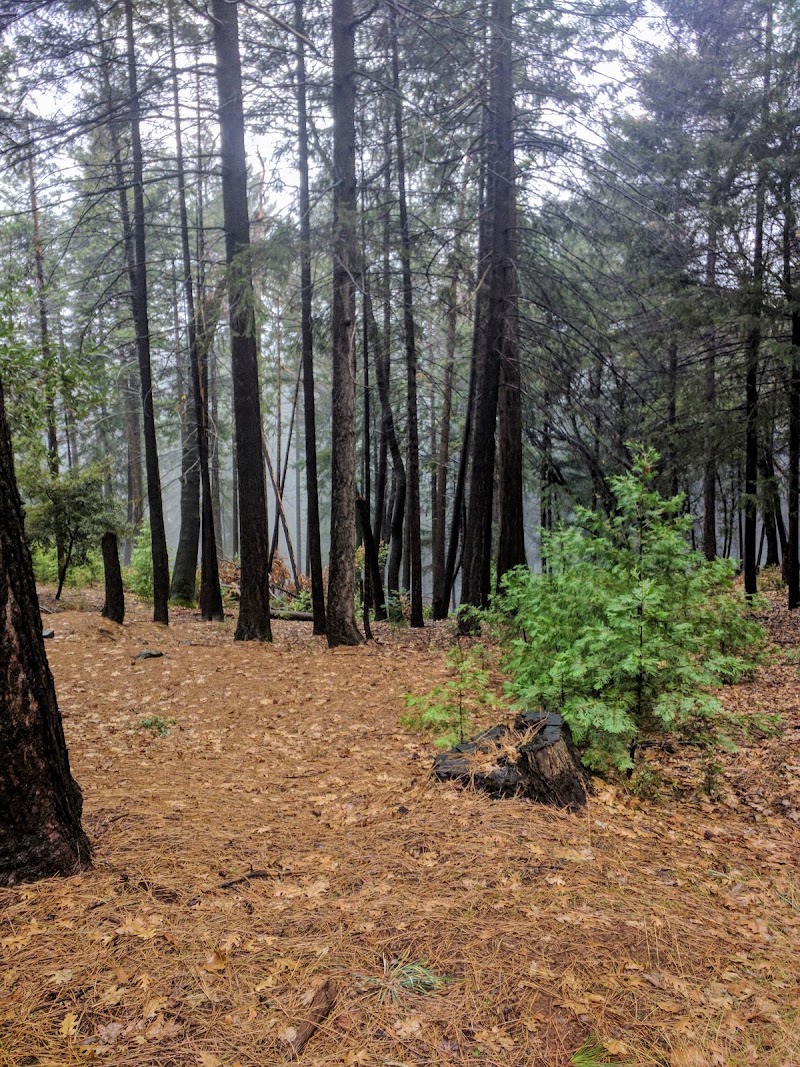 Paradise Pines Property Owners