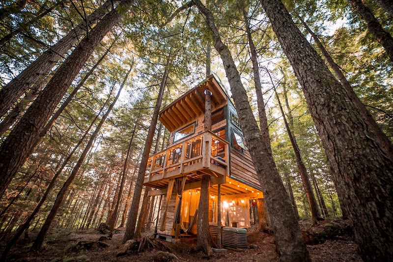 Stone City Treehouse - Pickleball in Hardwick, Vermont