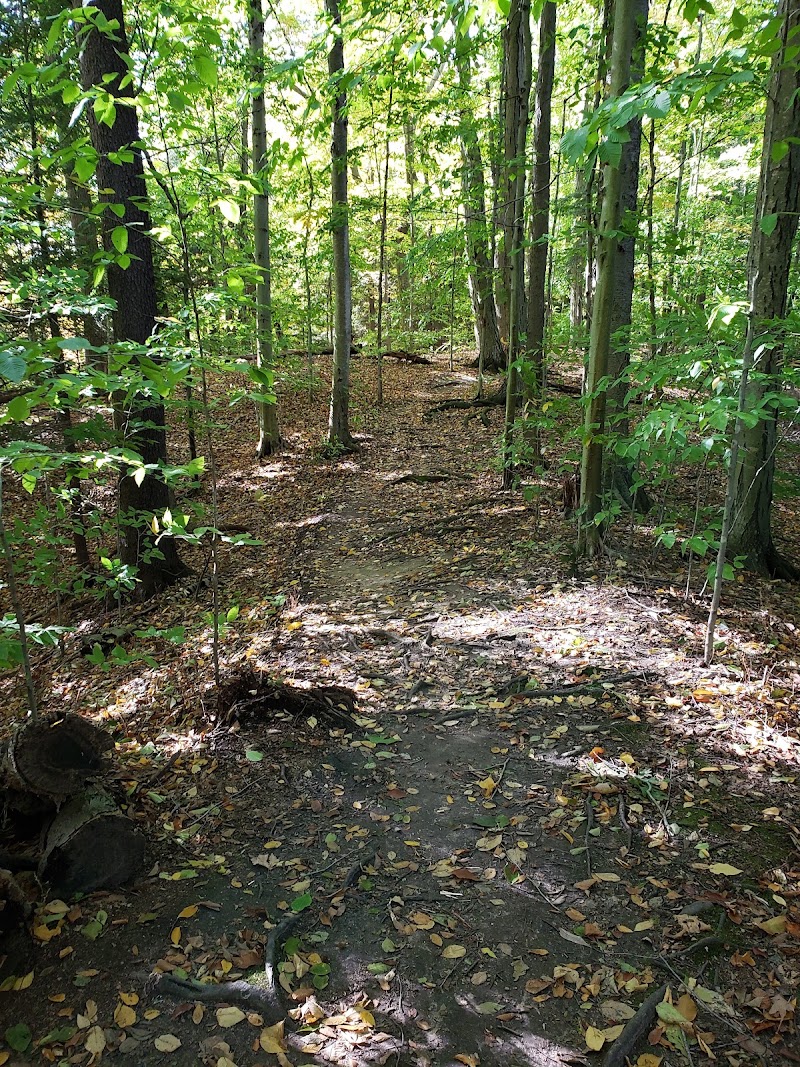 Whiting Road Nature Preserve