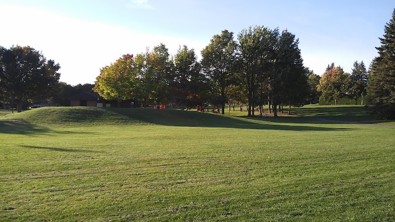 Owl Park - Pickleball in Ottawa, Ontario