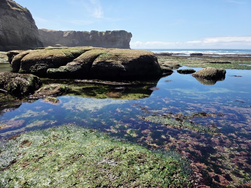 Otter Rock Marine Reserve