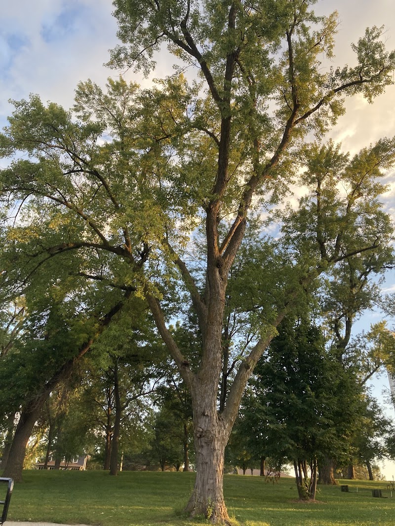 Herman Park
