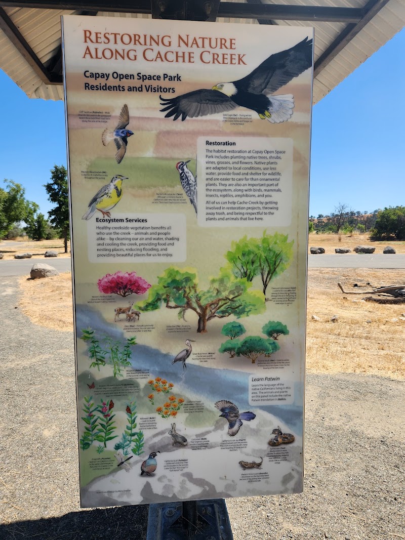 Capay Open Space Park