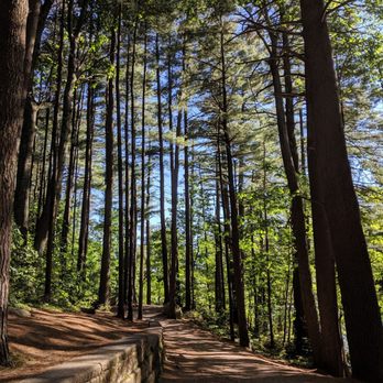 Livingston Park