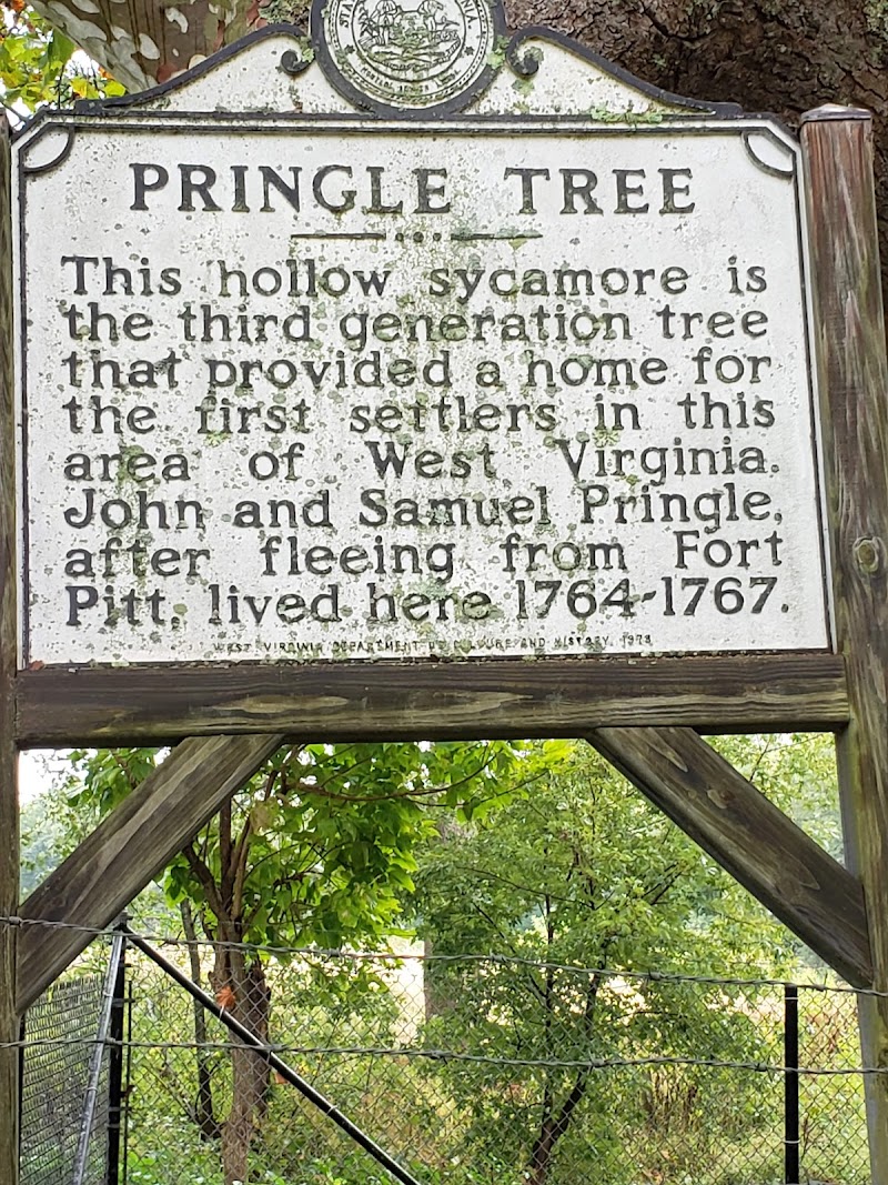 Pringle Tree Park - Pickleball in Buckhannon, West Virginia