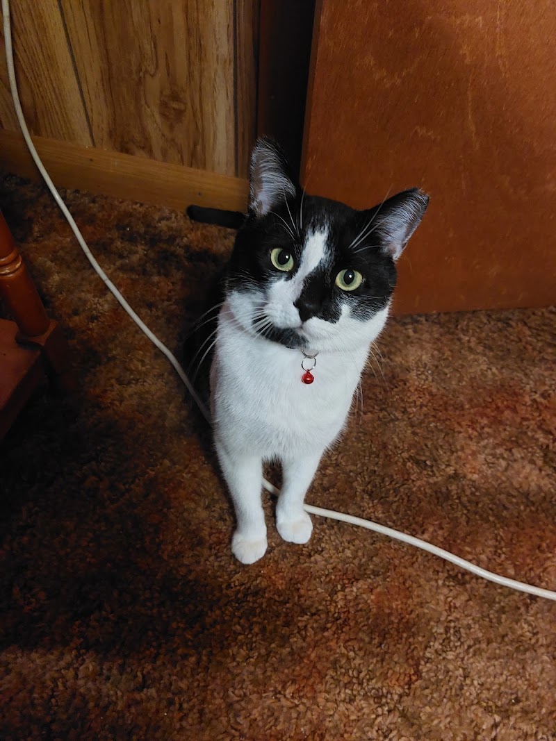 Nicholas County Animal Shelter