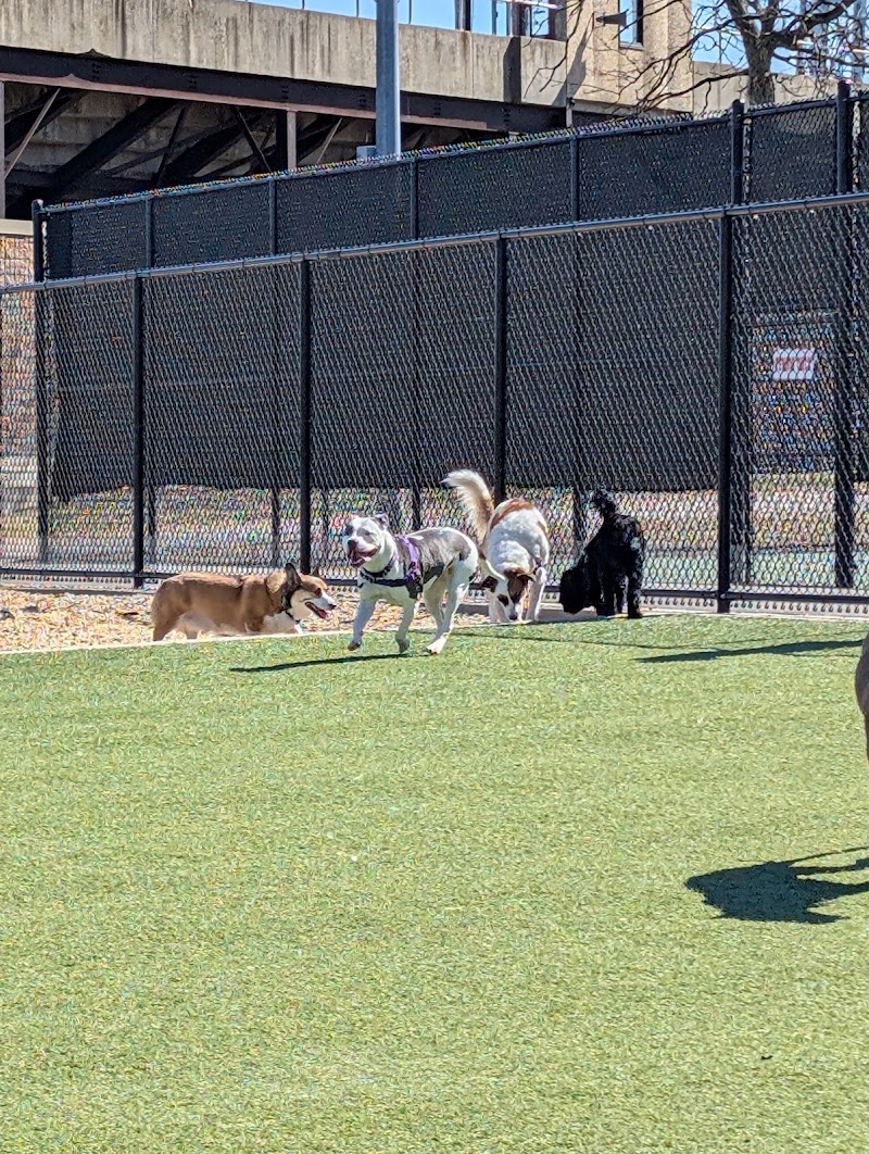 Tully Dog Park