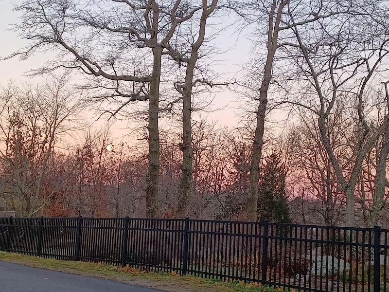 Webb Park