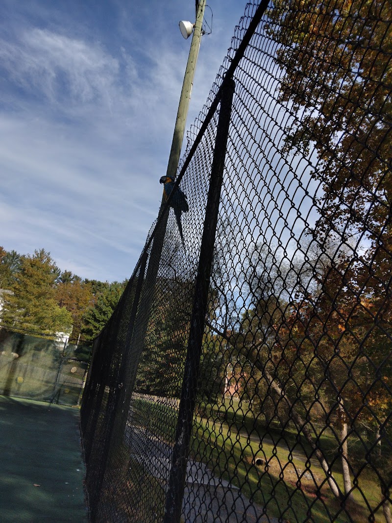 Town of Abingdon Tennis Courts
