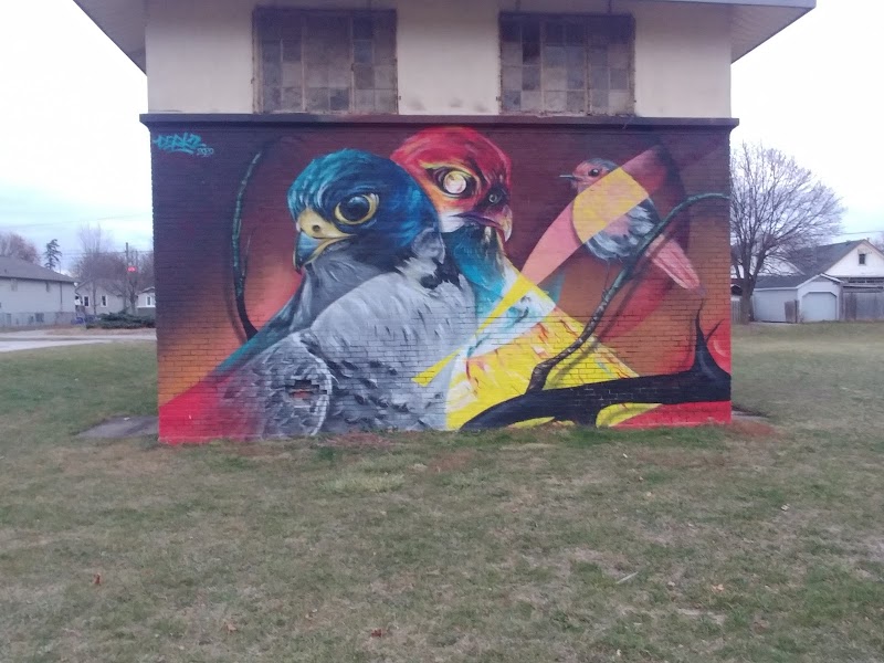 Wilson Park