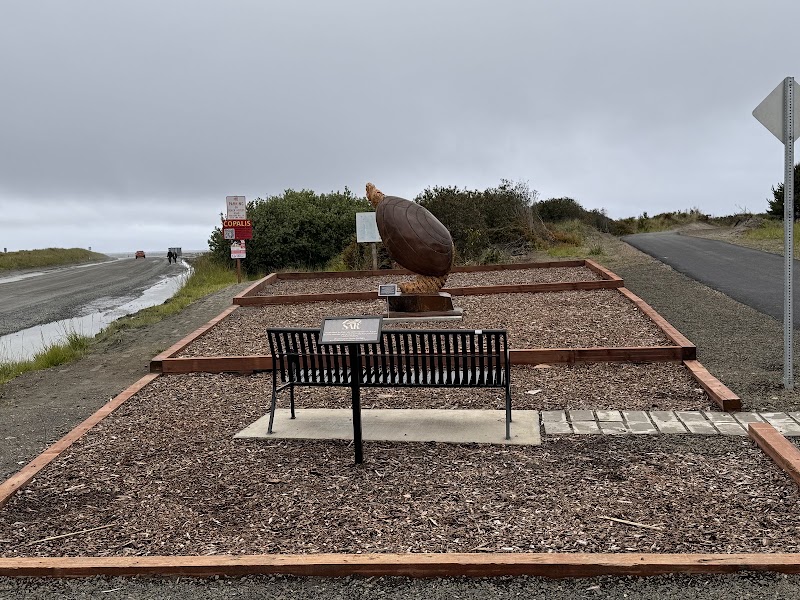 Ocean Shores Razor Clam Pocket Park - Pickleball in Ocean Shores, Washington