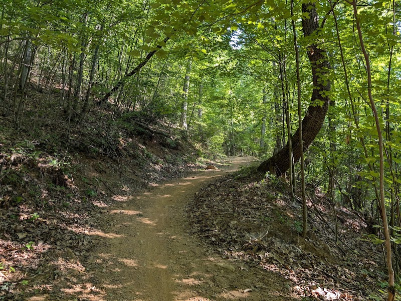Chestnut Mountain Nature Park - Pickleball in Canton, North Carolina
