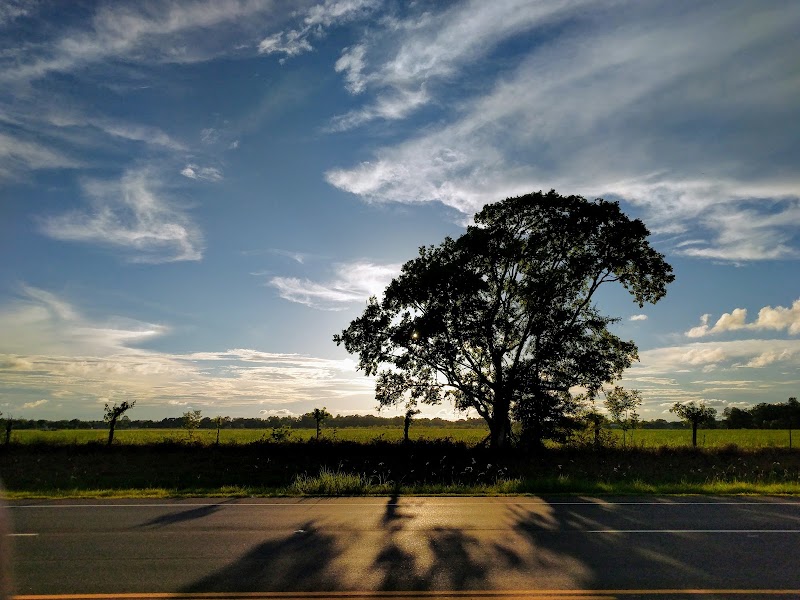 Harlem Road Park