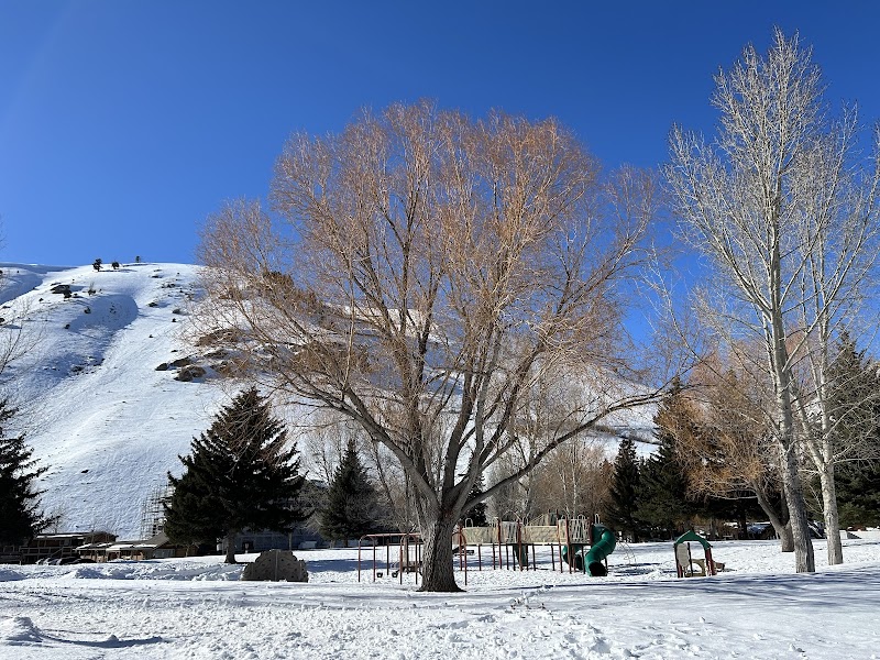 Miller Park Pickleball Courts - Pickleball in Jackson, Wyoming