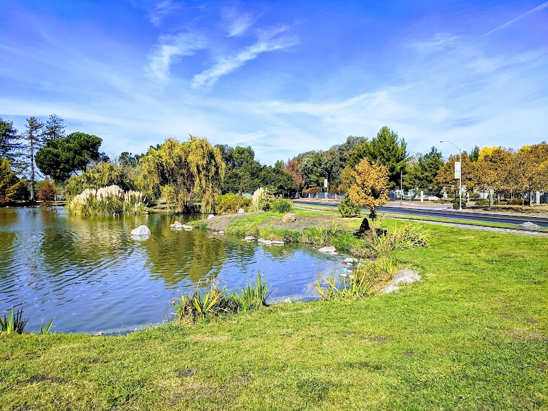 Willow Pass Community Park - Pickleball in Avery, California