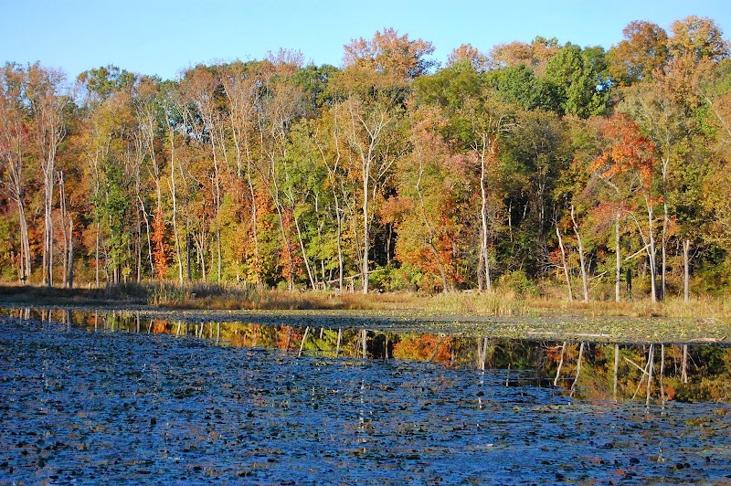 White's Mill Preservation Area