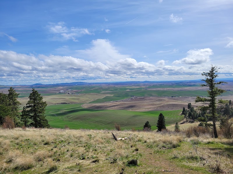 Kamiak Butte County Park - Pickleball in Palouse, Washington