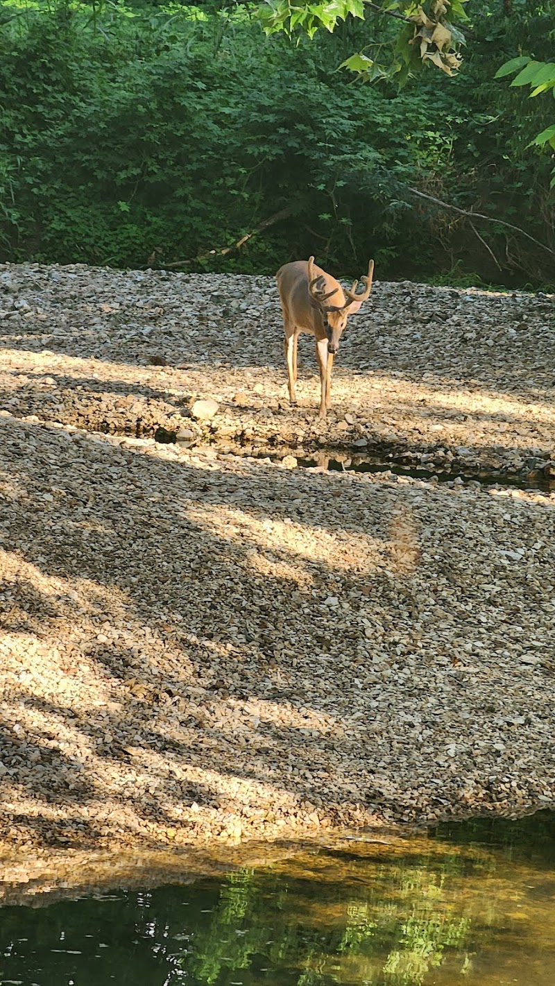 Vance Trail Park