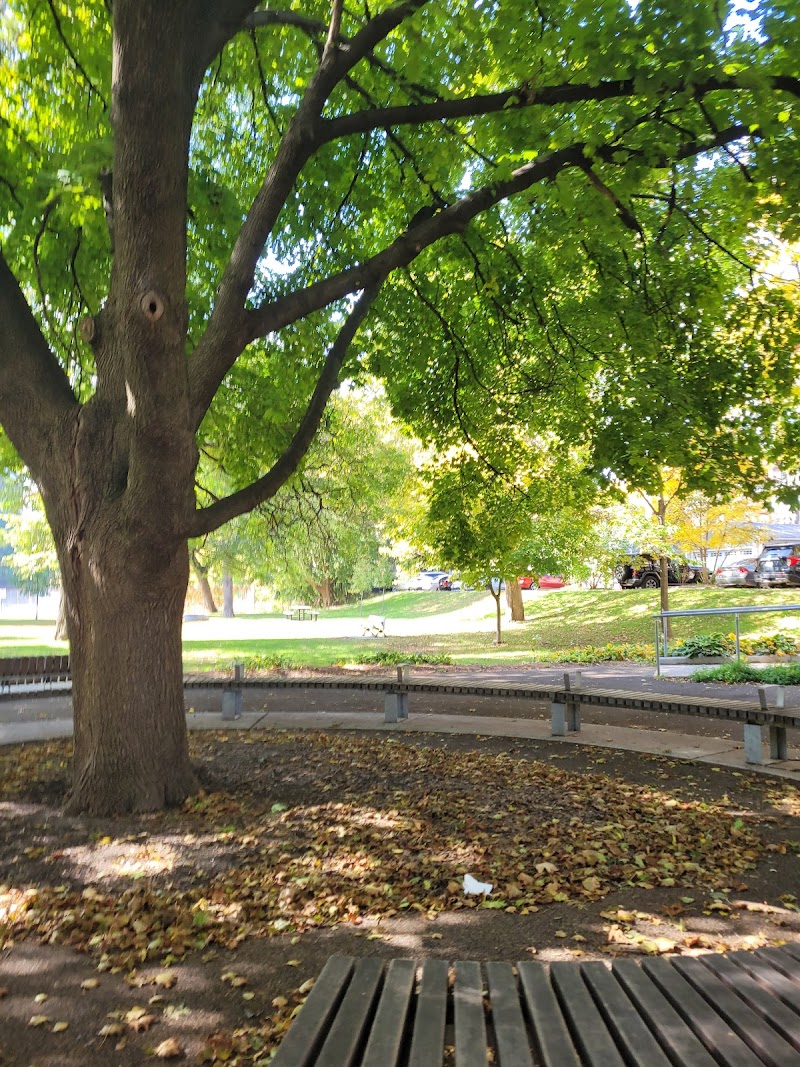 Ramsden Park Outdoor Rink