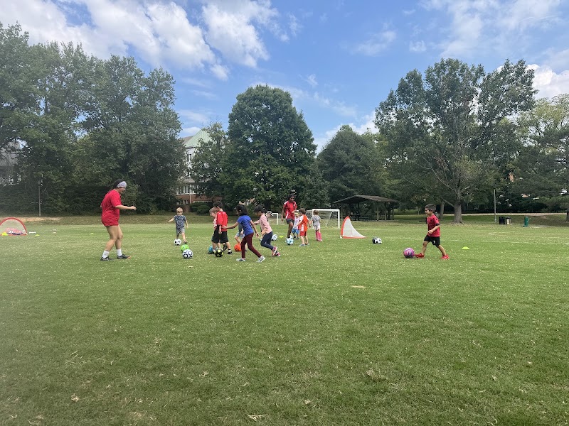 Madison Park - Pickleball in Madison, Virginia