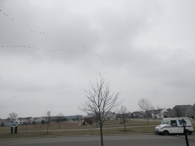 C.J. Clausen Park