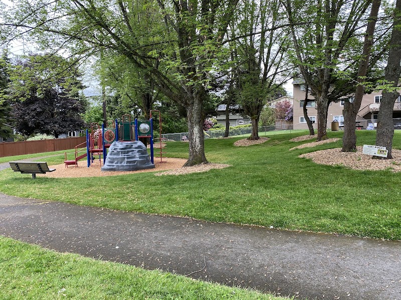 Conifer View Park Pickleball Court