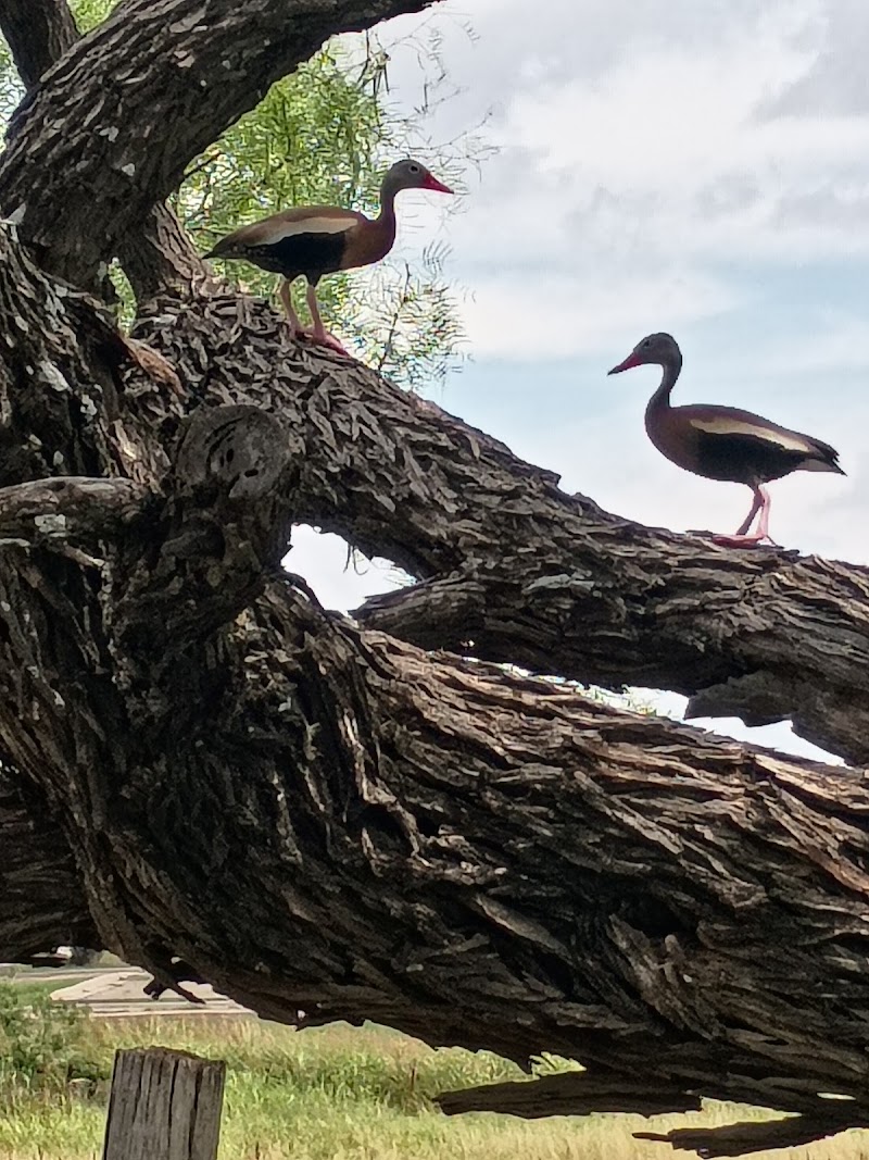 Anson City Park