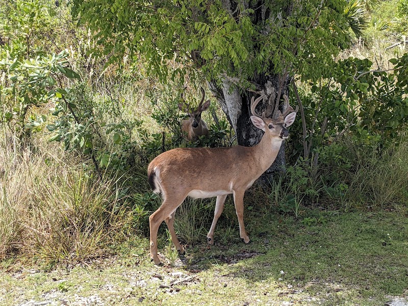 Blue Heron Park