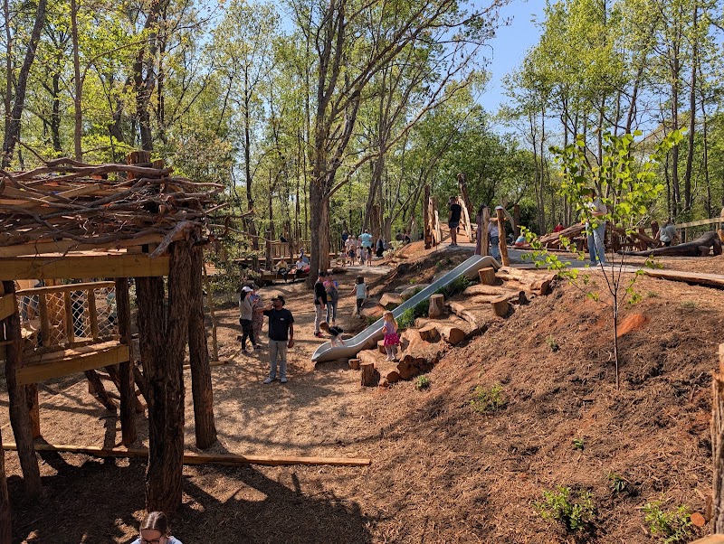 Conestee Nature Playscape