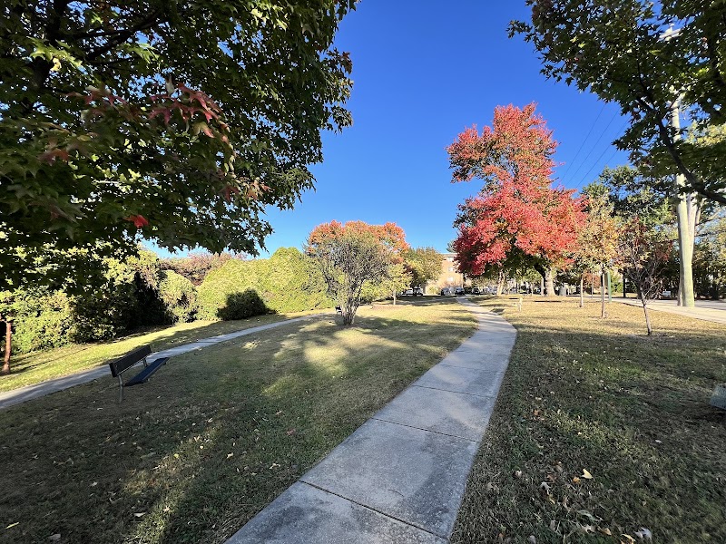 Shadeland Ave Park