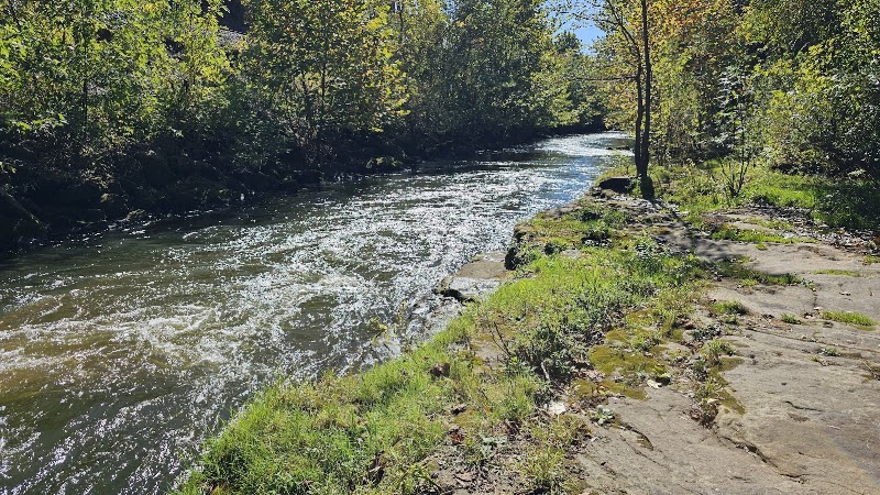 Brady's Leap Park