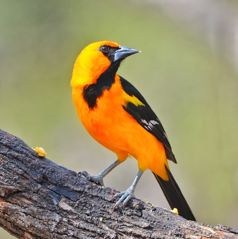 Salineño Wildlife Preserve