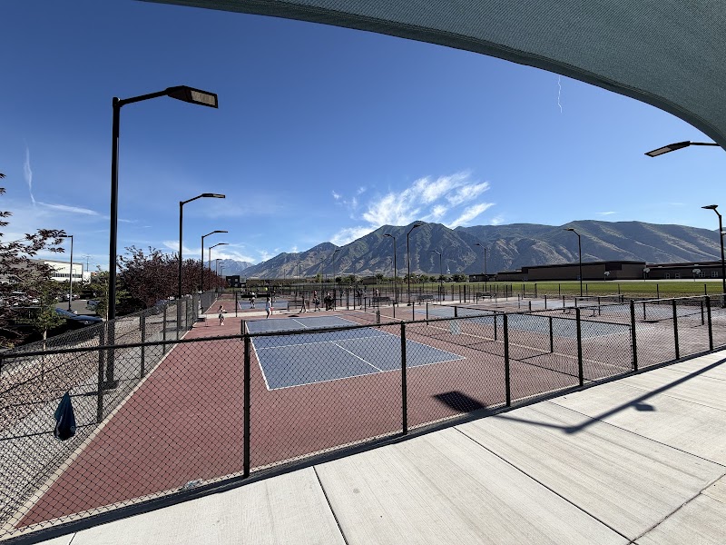 Springville Pickleball Courts