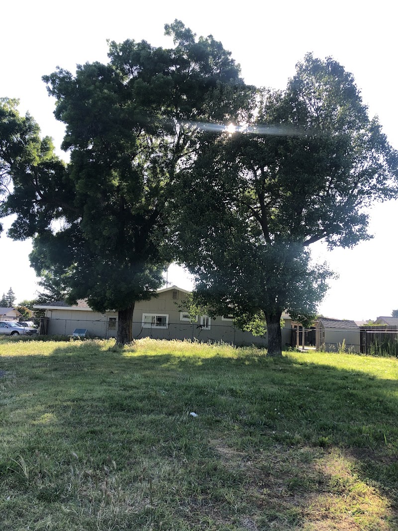 Andy Albiani Park