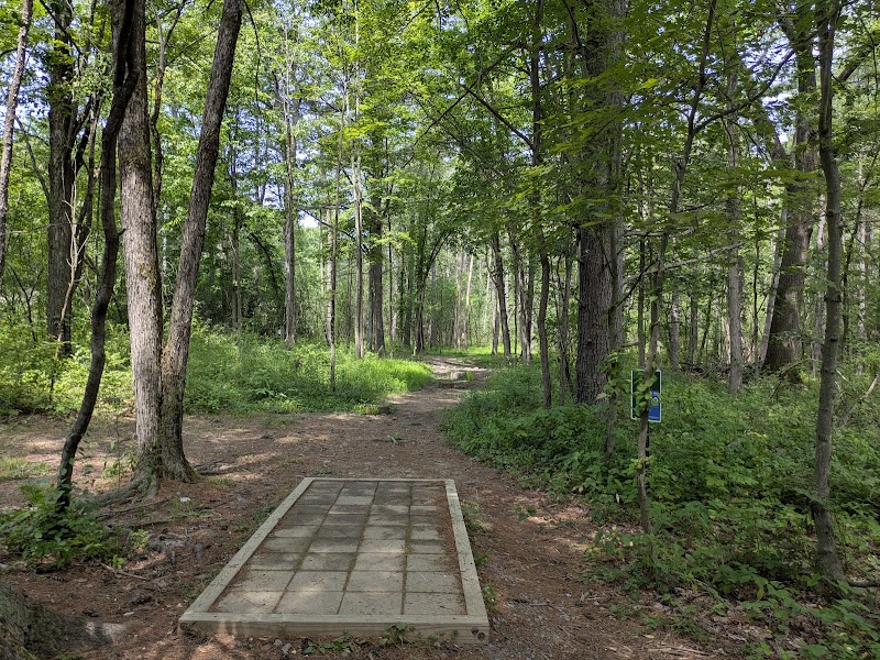 Stephen P Wallace Park