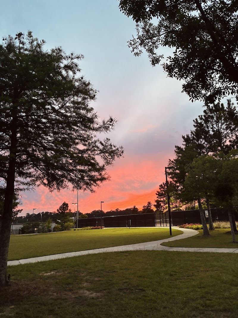 Town Center Park