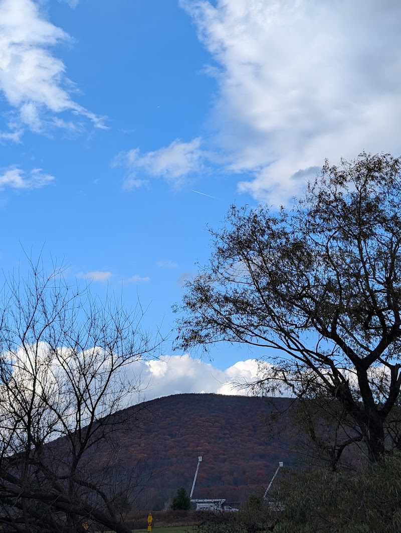 Nittany View Park - Pickleball in Boalsburg, Pennsylvania