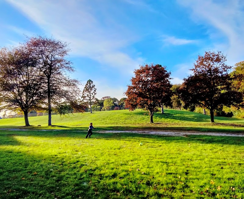 Leary Park