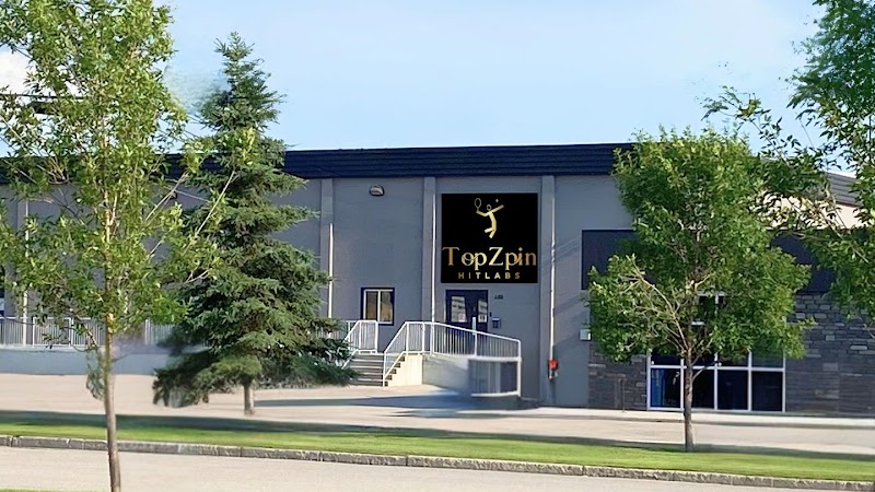 Topzpin
