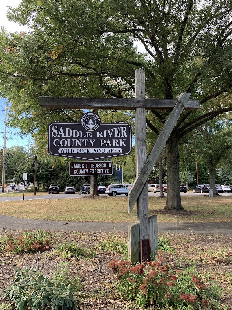 Saddle River County Park-Wild Duck Pond Area