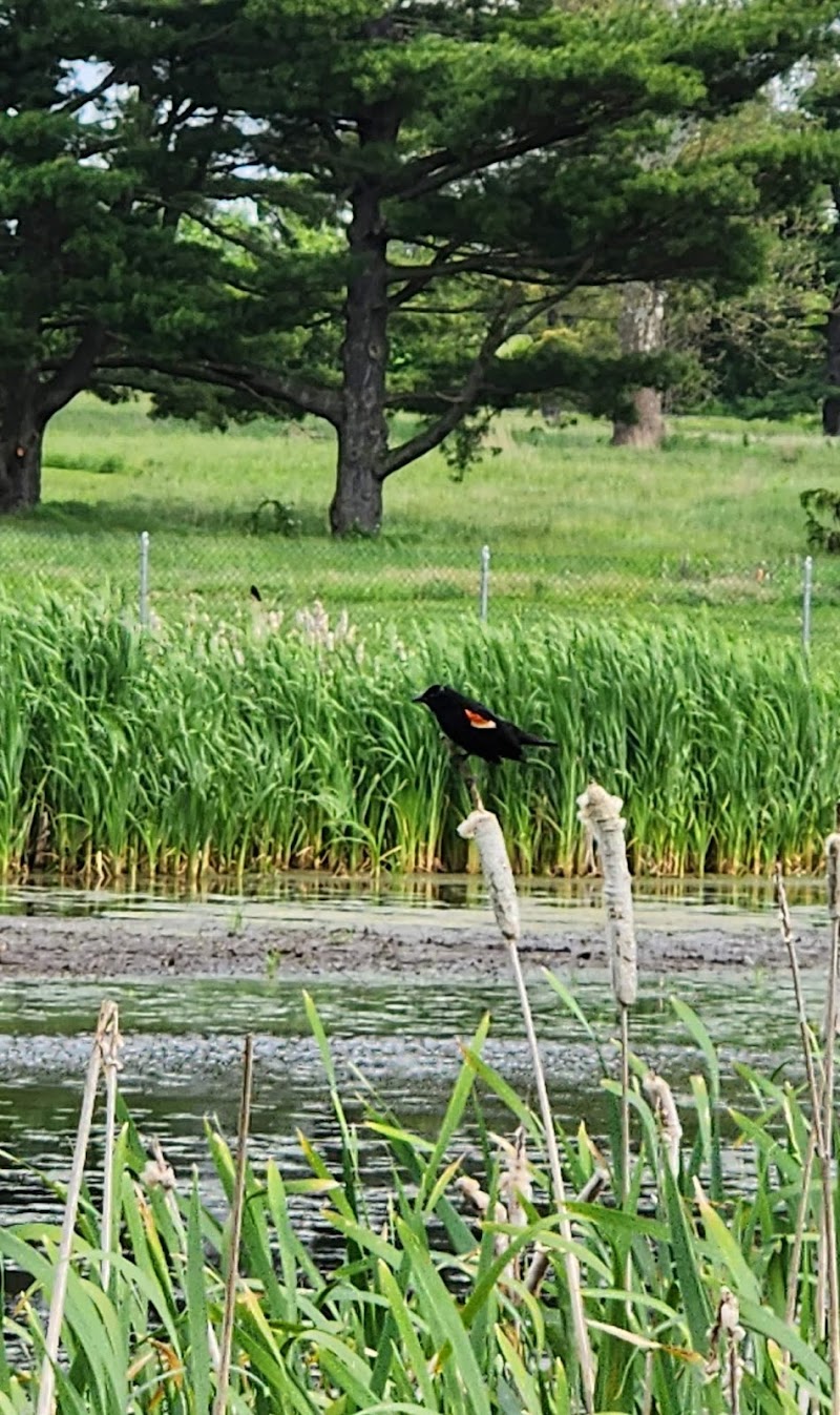Whitpain Township Park - Mermaid Lake
