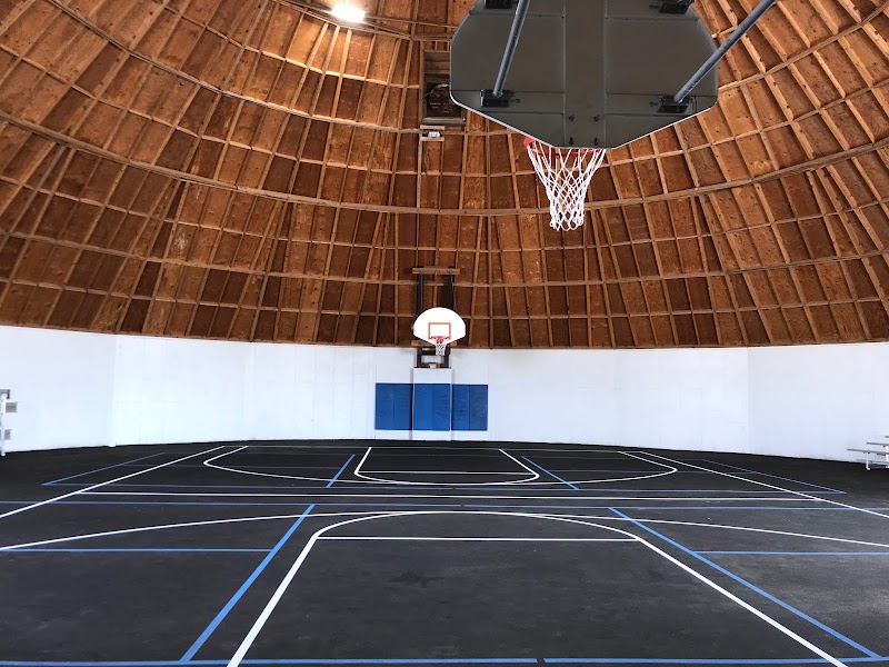 The Hive