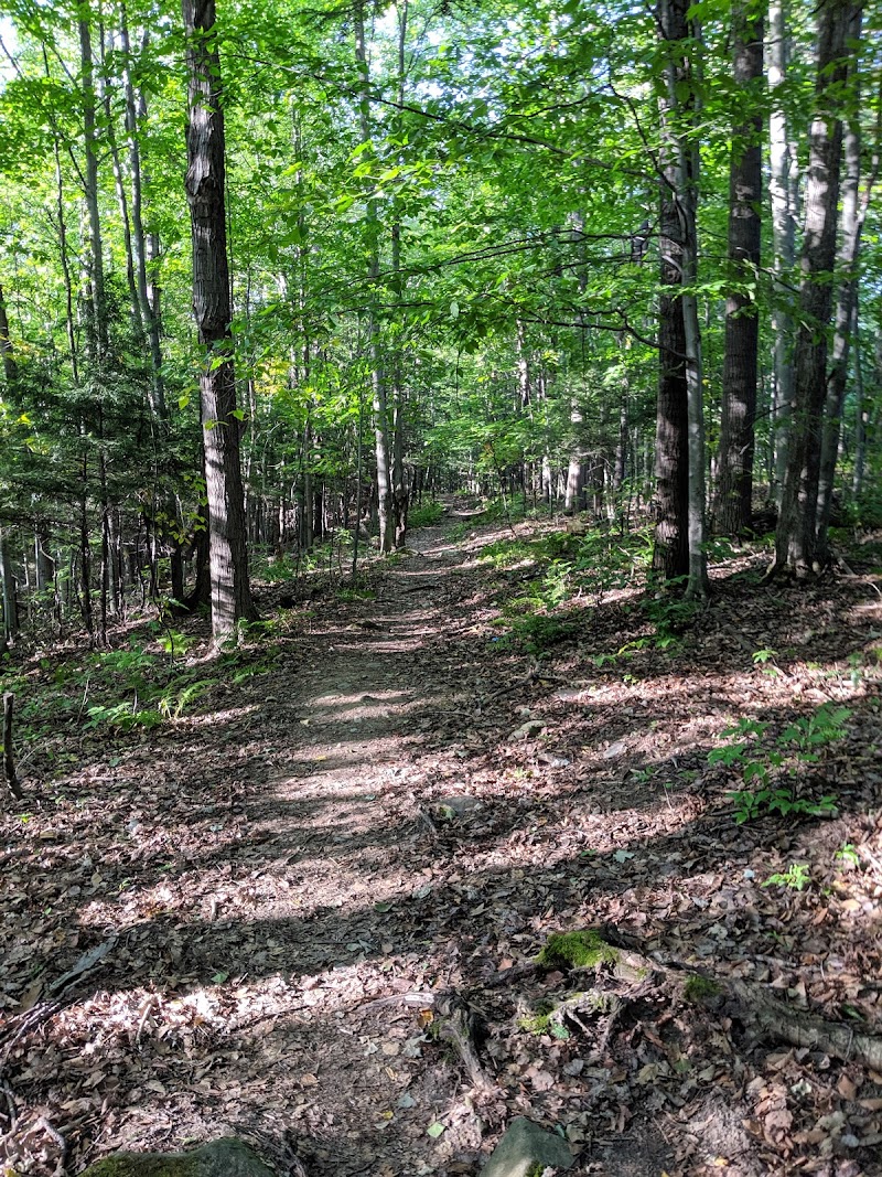 Debonair Park