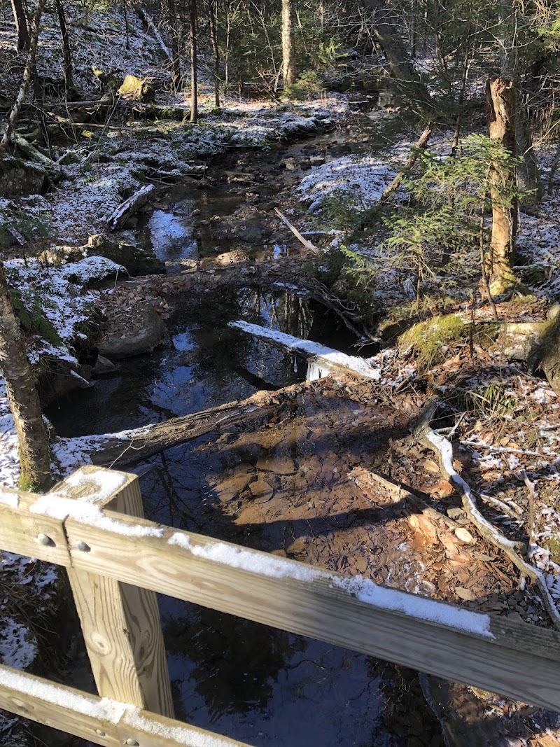 Slatyfork Wildlife Management Area