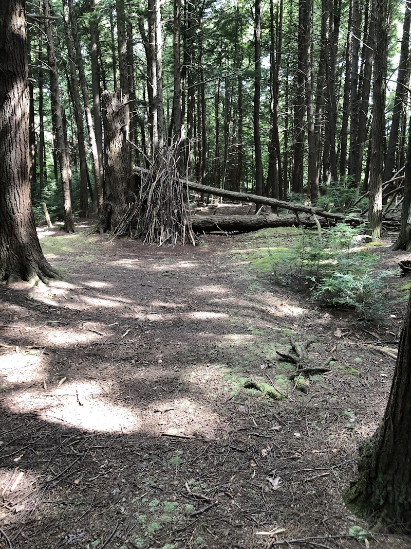 Benzinger Park