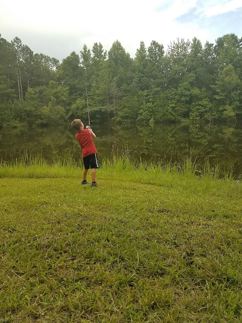 Hiram C Newman Memorial Fields - Pickleball in Wesson, Mississippi