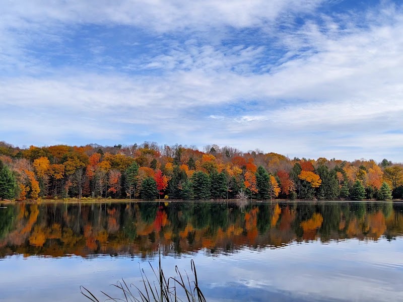 Hills Creek State Park