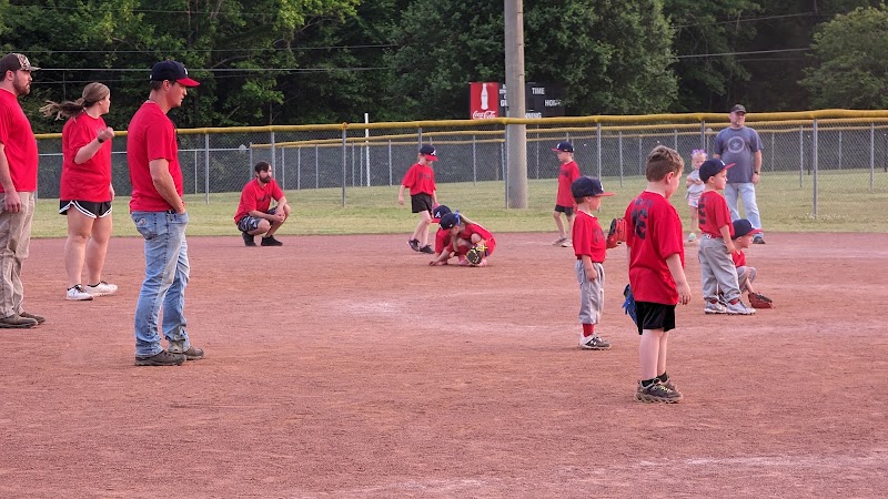Hamilton High School Softball Field - Pickleball in Hamilton, Alabama